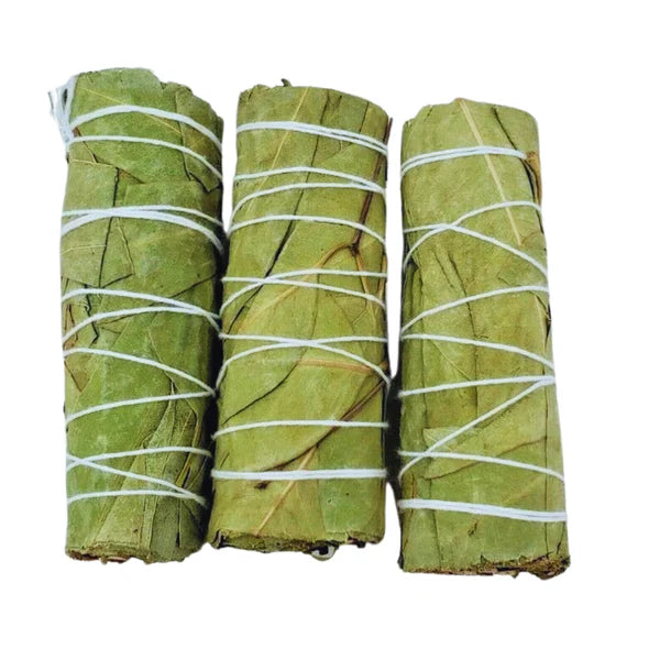 Eucalyptus Sage Bundle