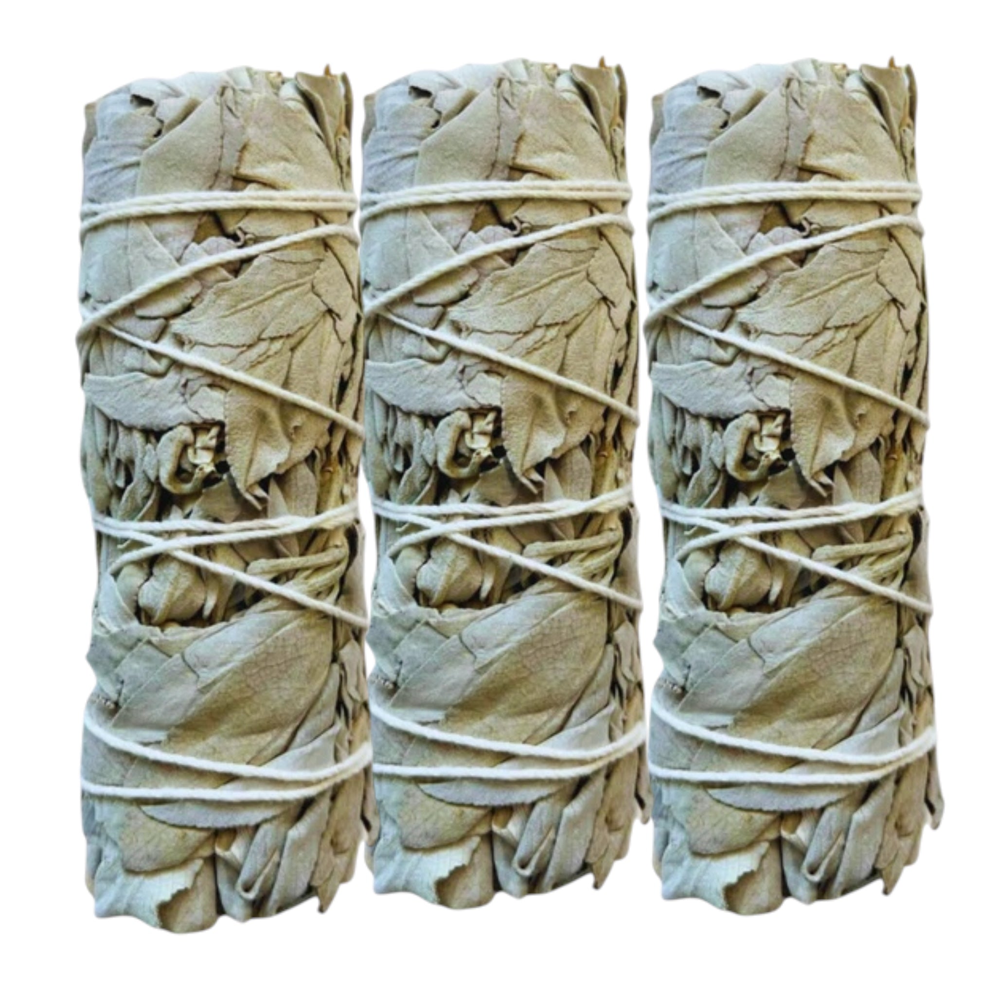California White Sage